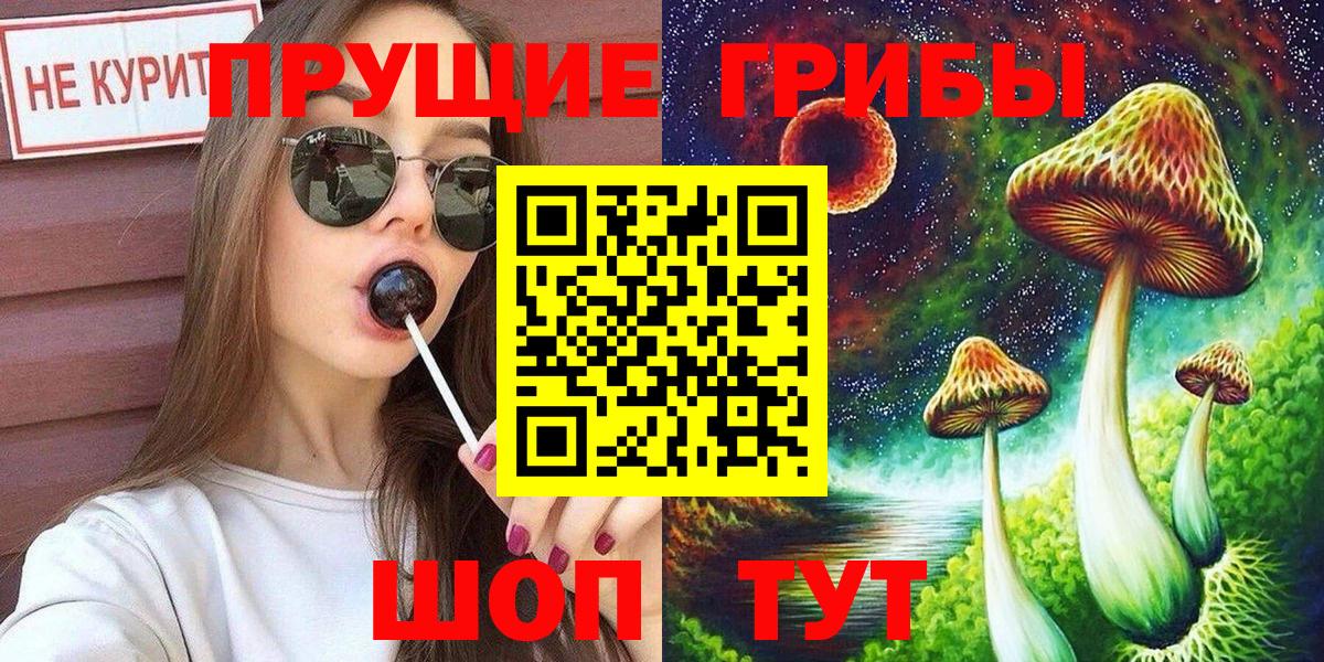 Химки  Псилоцибиновые грибы Psilocybine cubensis  Вход с VPN 